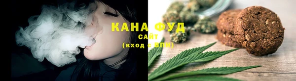 соль ск Снежинск