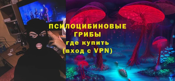 соль ск Снежинск