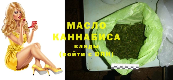 соль ск Снежинск