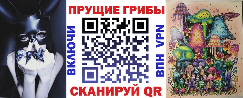 Галлюциногенные грибы мицелий  Купить где  Нерчинск 