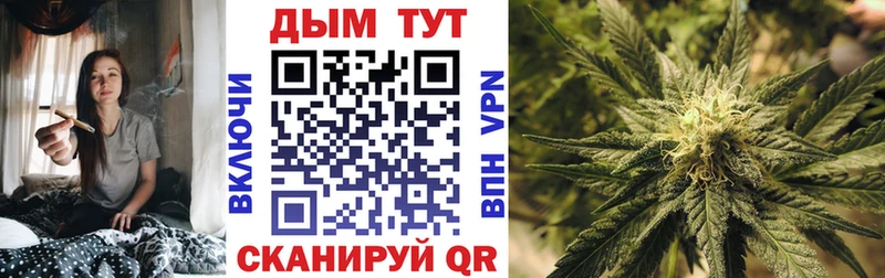 Купить закладки  Нерчинск  Конопля AK-47 